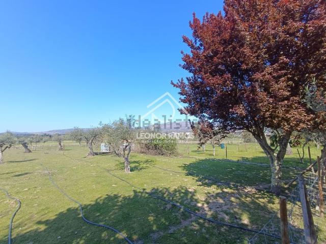 Quinta venda em Castelo Branco, Aldeia Nova Do Cabo