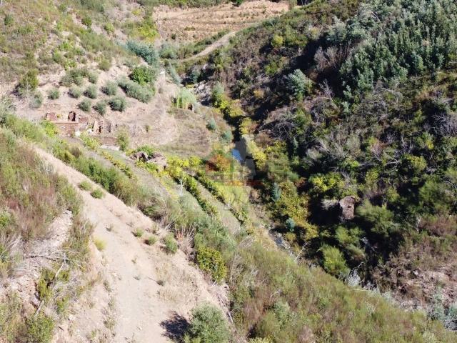 Quinta venda em Castelo Branco, Oleiros