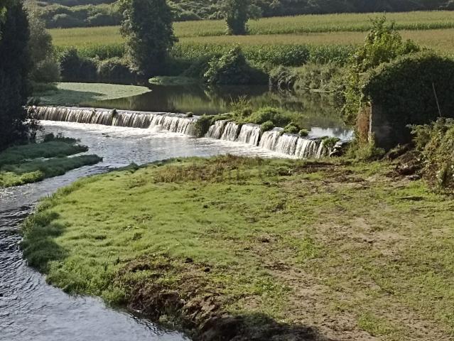 Quinta venda em Devesa, Bitarães