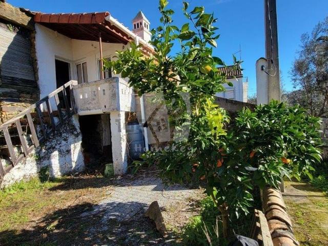 Quinta venda em Castelo Branco