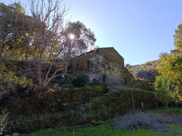 Quinta venda em Castelo Branco