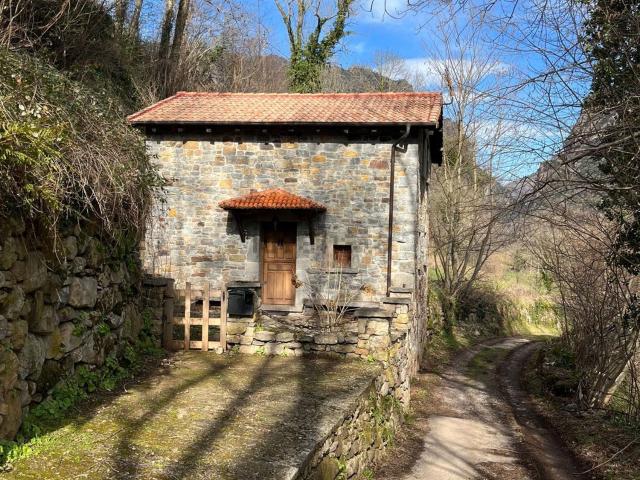 Casa Rural en venta en Somiedo, Pola de Somiedo / La Pola