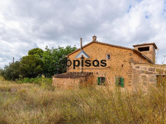 Casa Rural en venta en es Pla de na Tesa, Raiguer