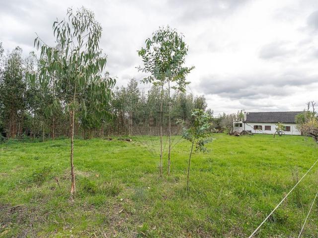 Quinta venda em Camparca, Soure