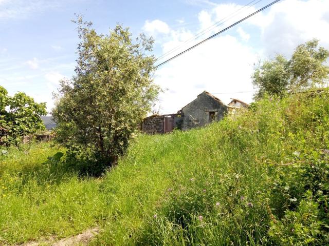 Quinta venda em Soure, Coimbra