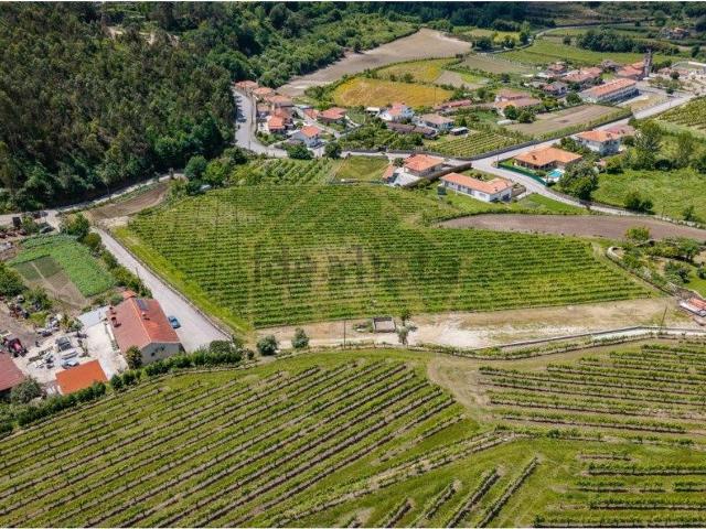 Quinta venda em Guimarães, Braga
