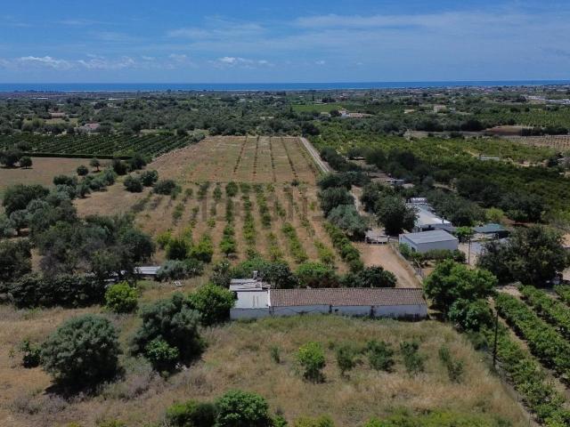 Quinta venda em Tavira, Faro