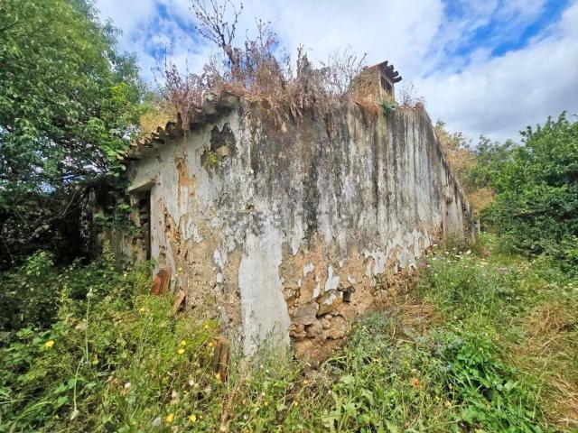 Quinta venda em Bernardinheiro, Tavira