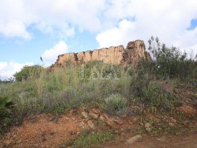 Quinta venda em Tavira, Faro