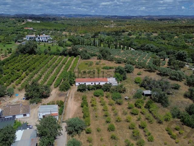 Quinta venda em Tavira, Faro