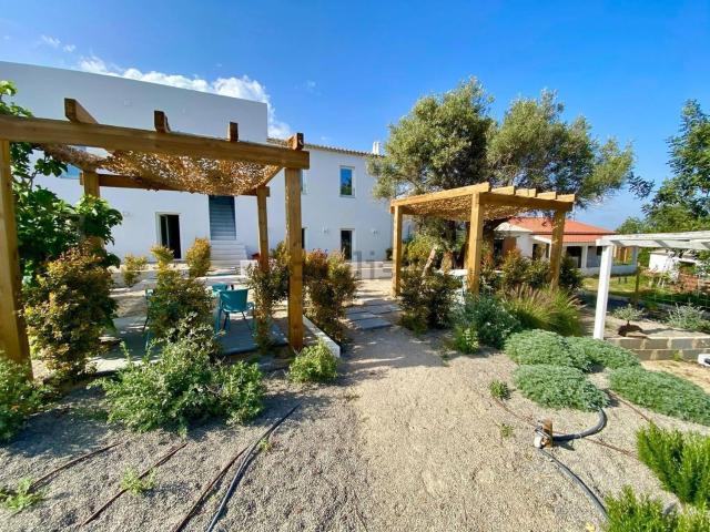 Quinta venda em Capelinha, Tavira
