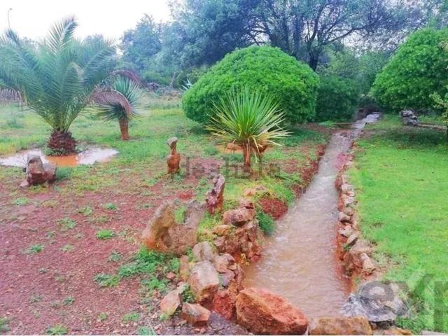Quinta venda em Santa Margarida, Tavira