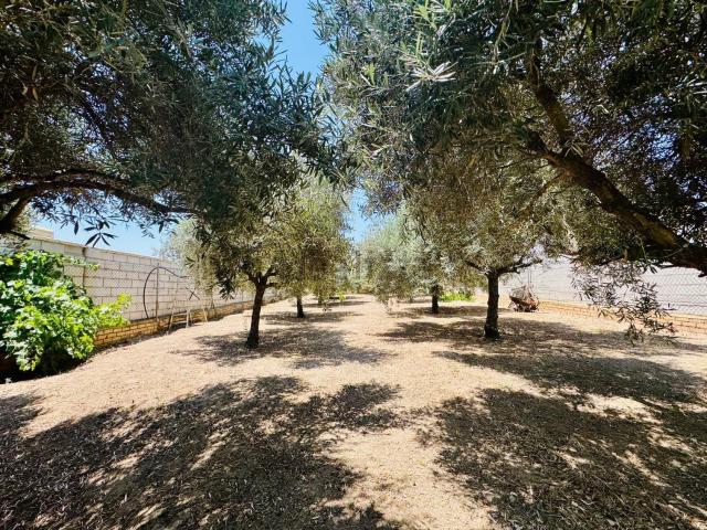 Casa Rural en venta en Guadalteba, Andalucía
