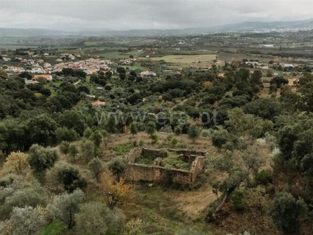 Quinta venda em Telhado, Freixial