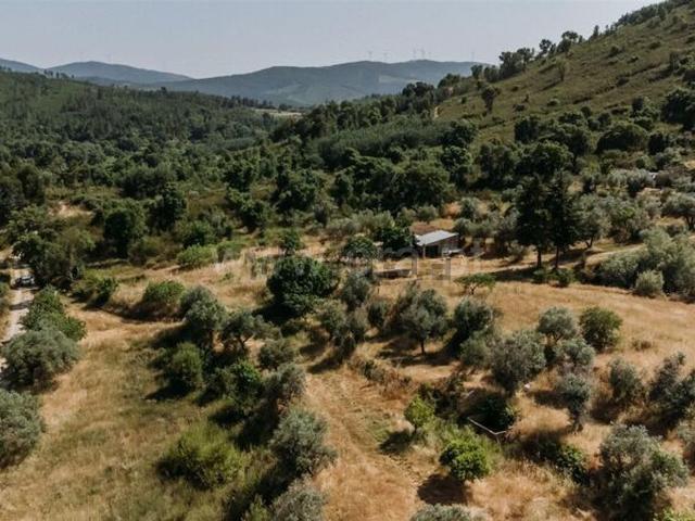 Quinta venda em Castelo Branco, Aldeia Nova Do Cabo