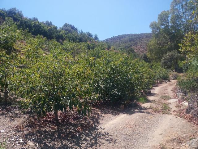 Casa Rural en venta en Sierra de las Nieves, Andalucía