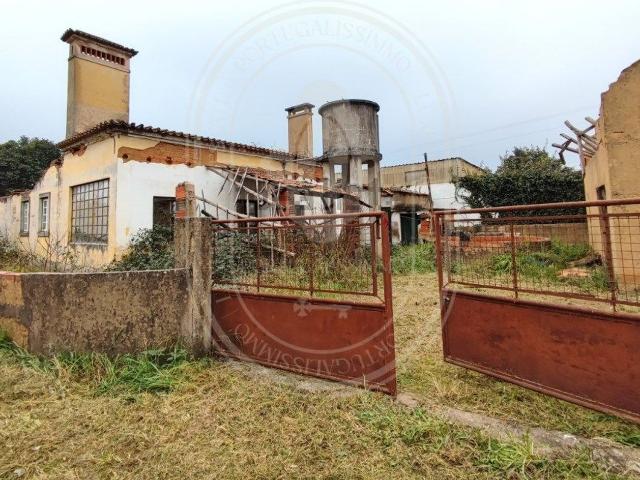 Quinta venda em Tomar, Santarém