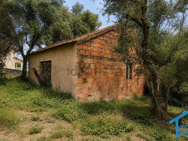Quinta venda em Piolhinho, Tomar