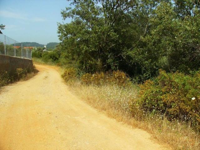 Quinta venda em Colégio Nuno Álvares, Tomar