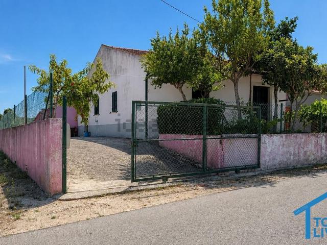 Quinta venda em Tomar (São João Baptista) e Santa Maria dos Olivais, Tomar