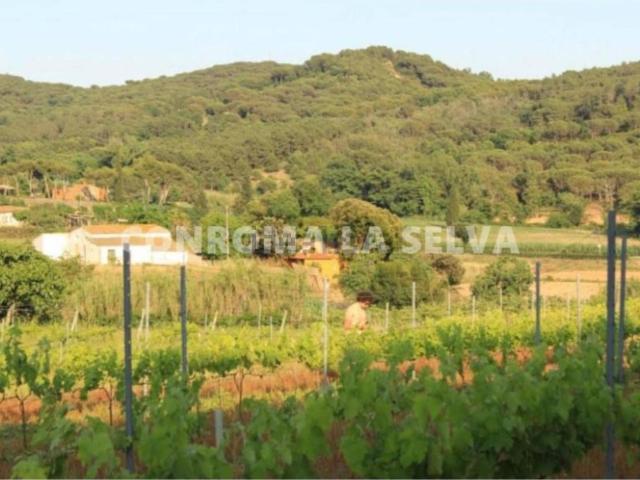 Casa Rural en venta en Mas de Mora, Maresme