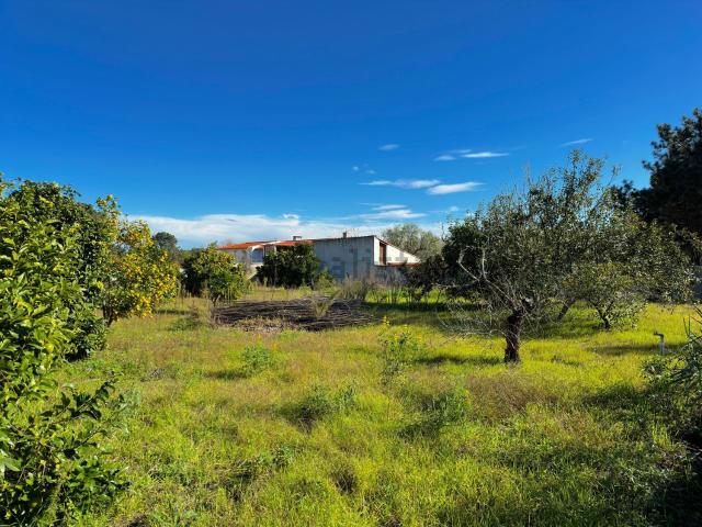 Quinta venda em Leiria