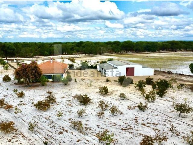 Quinta venda em Alcácer Do Sal, Setúbal