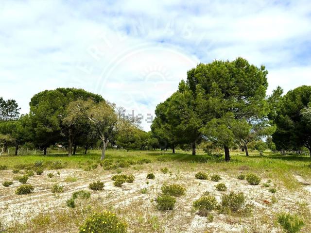 Quinta venda em Torrão, Alcácer do Sal