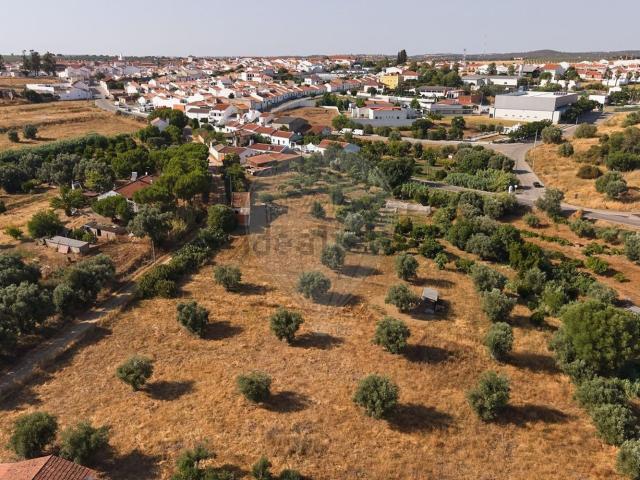 Quinta venda em Alcácer Do Sal, Setúbal