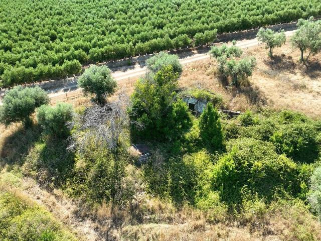 Quinta venda em Alcácer Do Sal, Setúbal