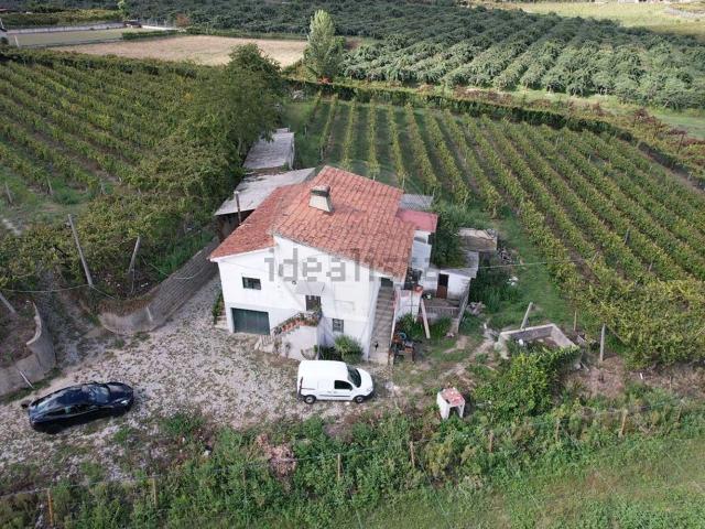 Quinta venda em Felgueiras, Porto