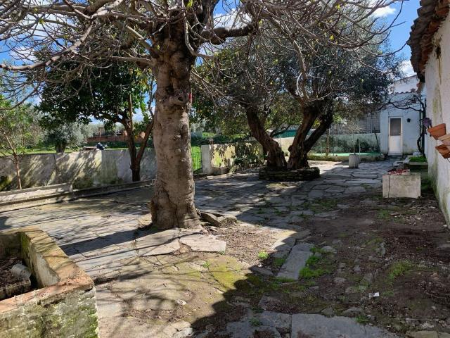 Casa Rural en venta en Torrejoncillo, Extremadura