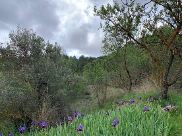 Casa Rural en venta en l'Alacantí, Valencia