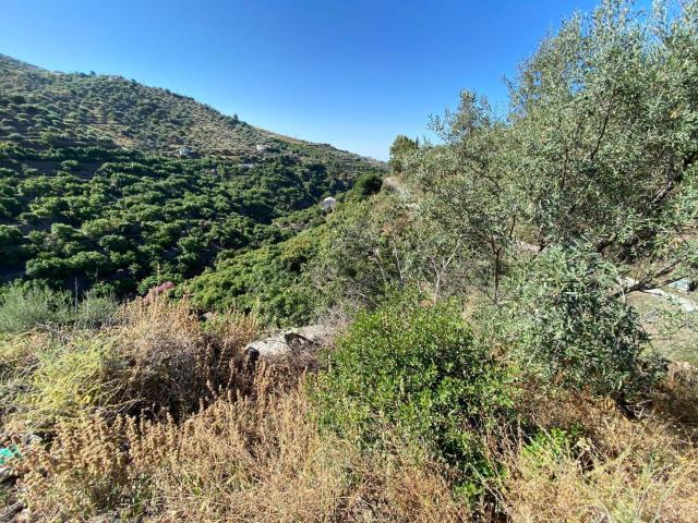 Casa Rural en venta en Torrox