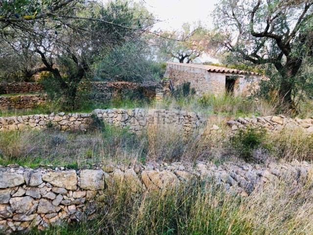 Casa Rural en venta en Baix Ebre, Catalunya