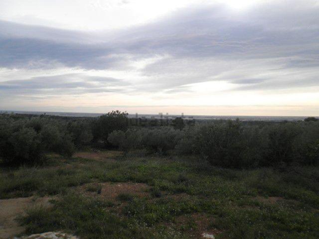 Casa Rural en venta en Tortosa, Tarragona