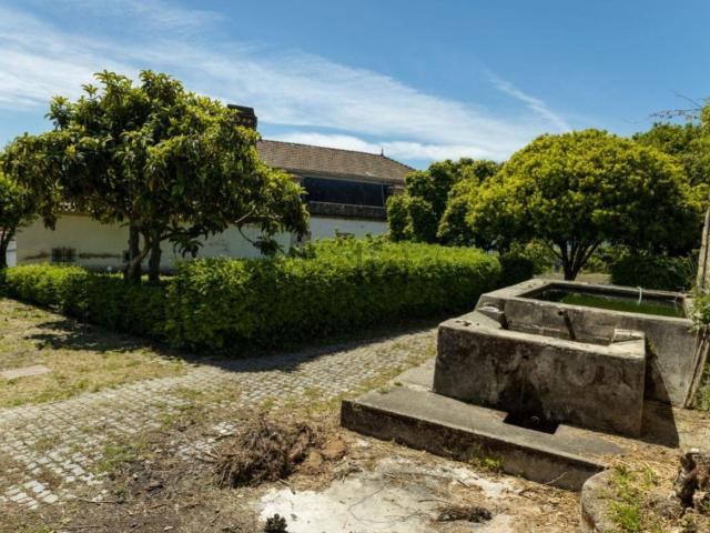 Quinta venda em Castelo Branco, Tortosendo