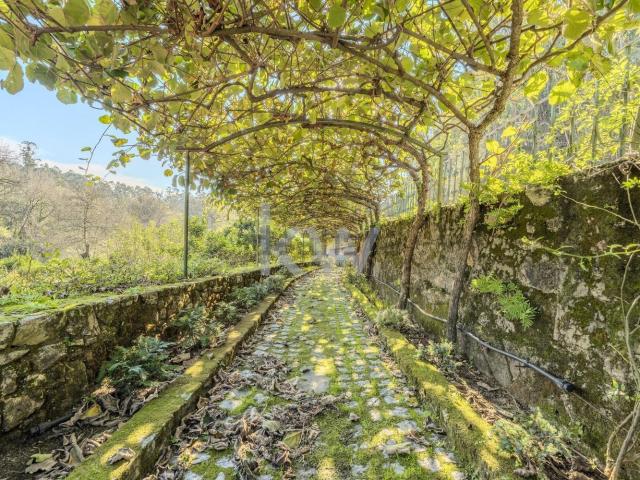 Quinta venda em Vila Do Conde, Porto