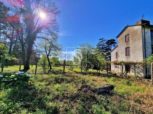 Quinta venda em Vila Do Conde, Porto