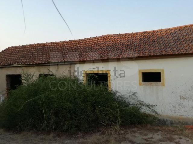Quinta venda em Abrantes, Santarém