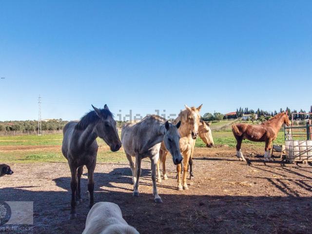 Casa Rural en venta en Trigueros, Huelva