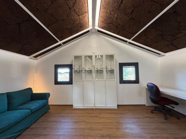 Quinta alugar em Águeda, Aveiro