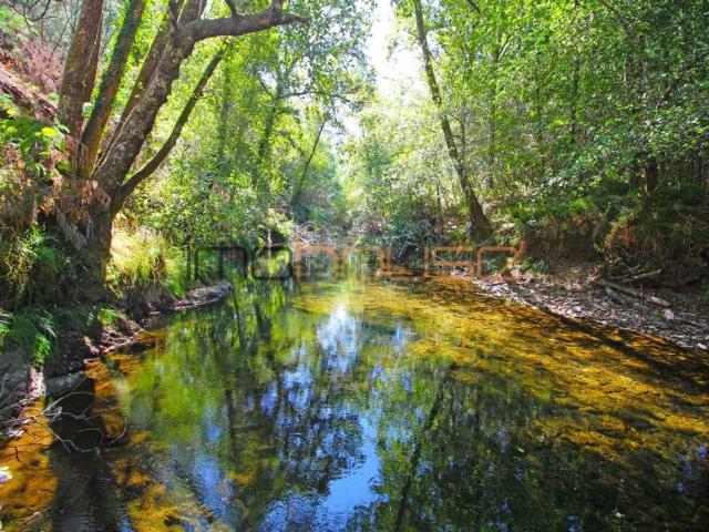 Quinta venda em Arouca, Tropeço