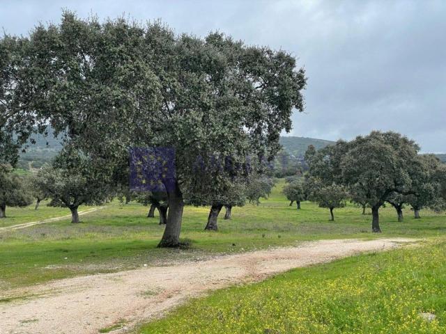 Casa Rural en venta en Trujillo, Extremadura