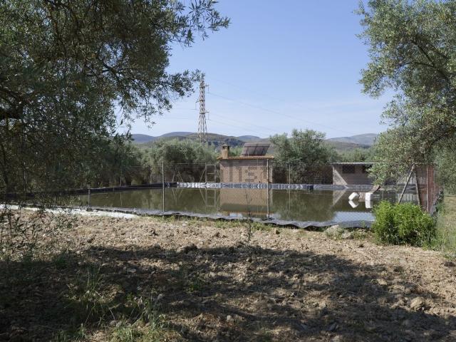 Casa Rural en venta en Comarca de la Alpujarra Granadina, Andalucía