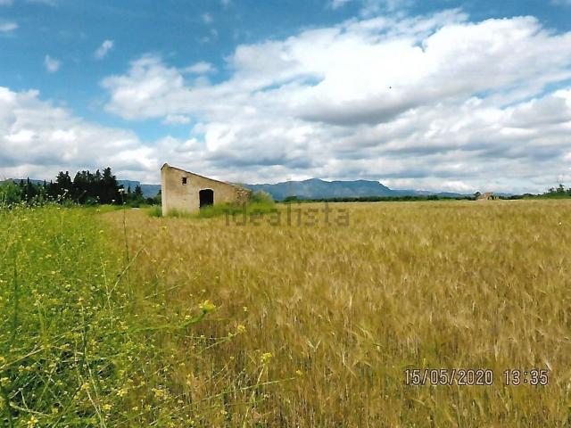Casa Rural en venta en la Miliana, Ulldecona
