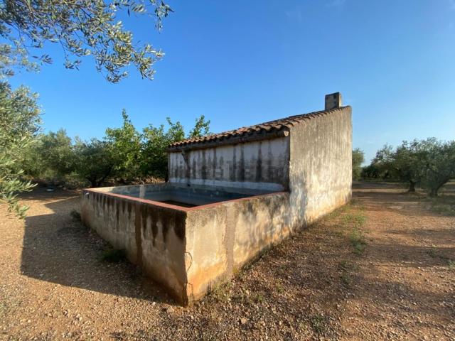 Casa Rural en venta en la Miliana, Ulldecona