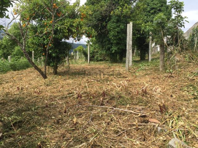 Quinta venda em Arouca, Urrô