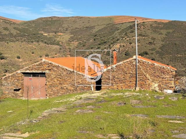 Quinta venda em Torre De Moncorvo, Bragança