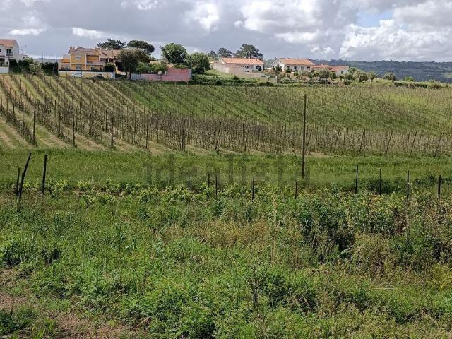 Quinta venda em Pederneira, Valado Dos Frades